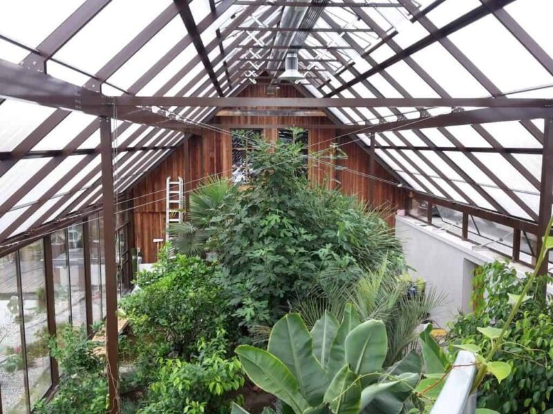 Gewächshaus-Sonderbauten