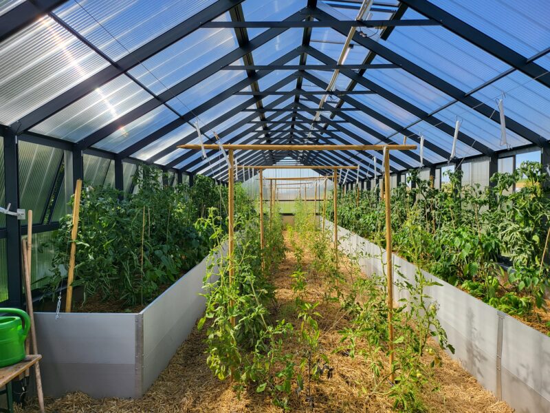 Hochbeet - Gewächshaus